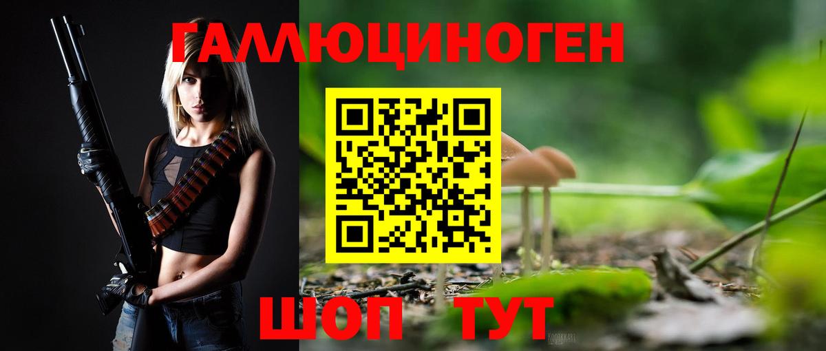 Киселёвск  Галлюциногенные грибы прущие грибы  Вход с VPN 