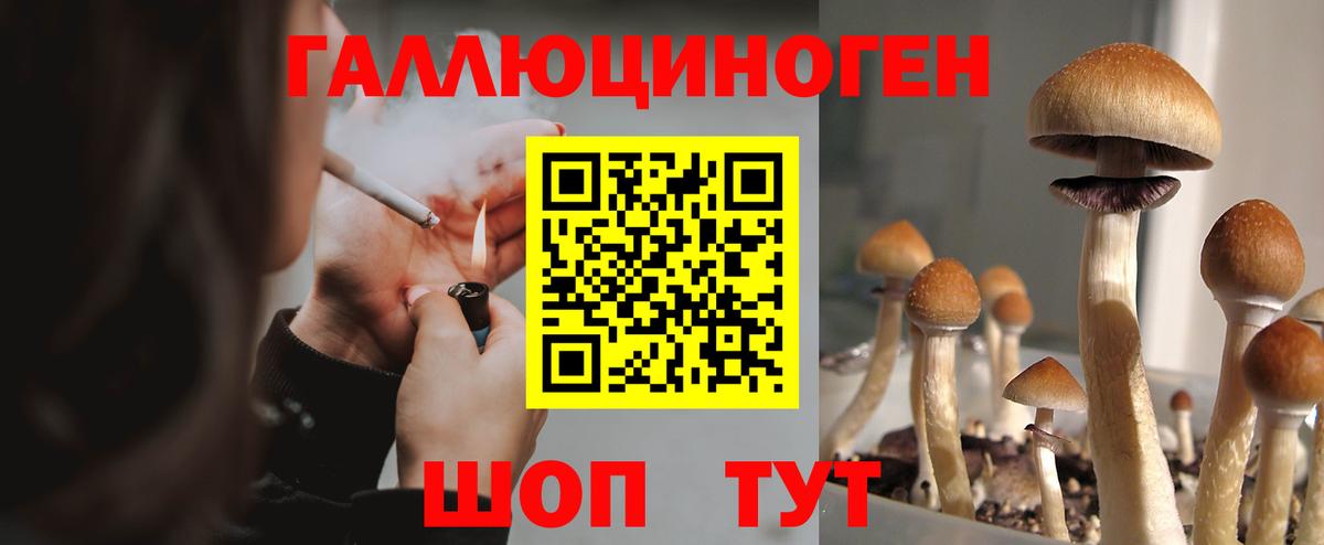 Псилоцибиновые грибы GOLDEN TEACHER Киселёвск